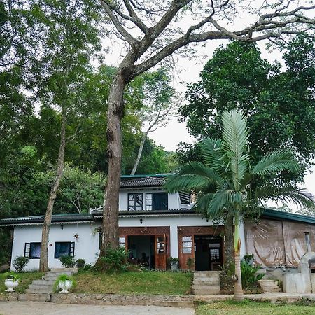 Hotel Welikande Yoga Retreats Digana Exterior foto