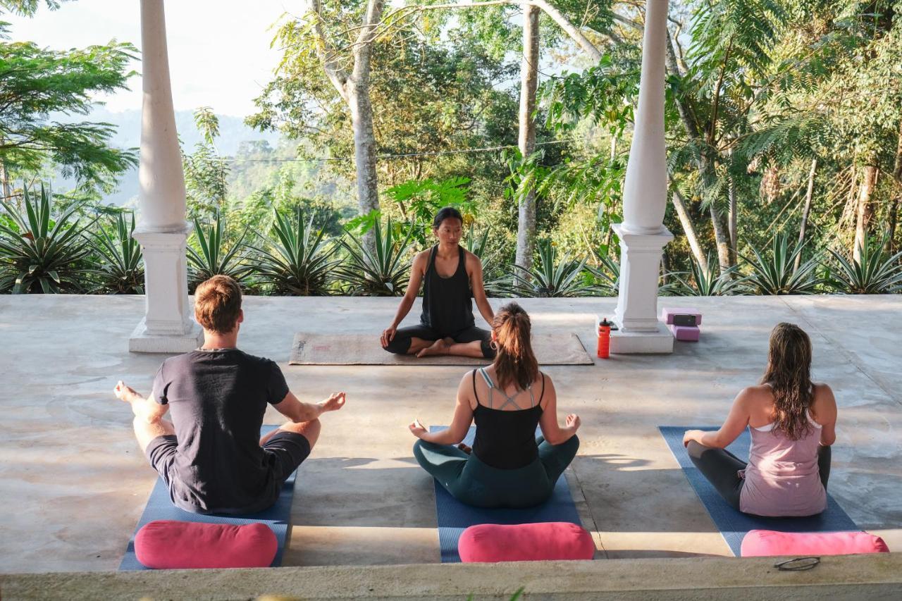 Hotel Welikande Yoga Retreats Digana Exterior foto